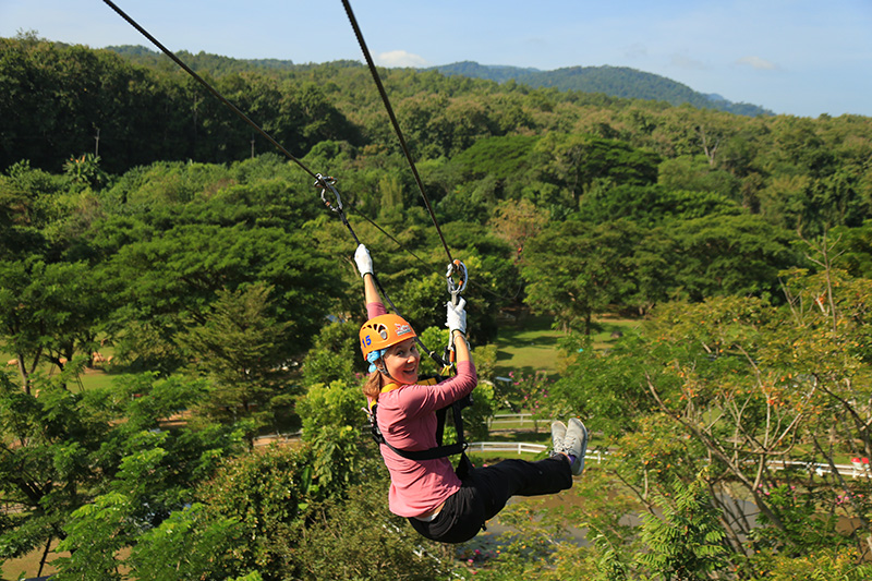 Read more about the article PHOENIX ADVENTURE